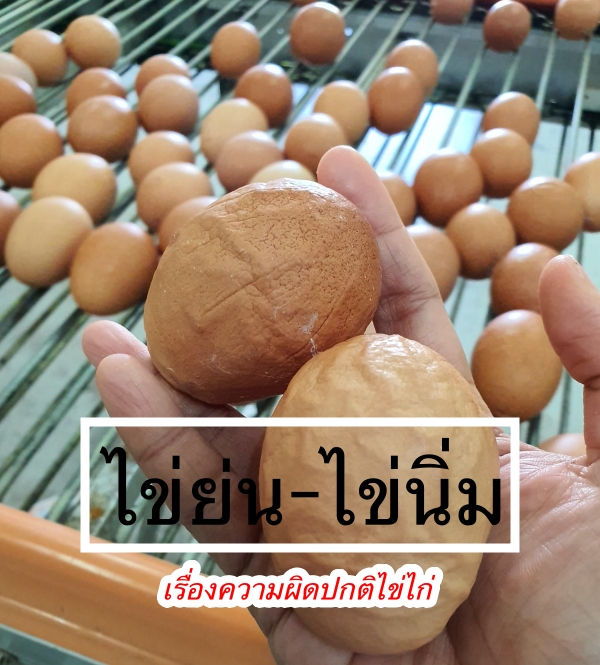 ไข่แปลก ไข่ย่น ไข่นิ่ม ทานได้ไหม?